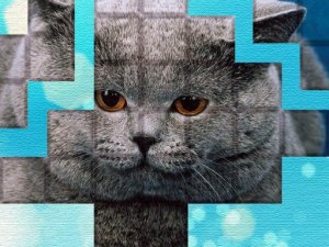 Cat Puzzle Block Game