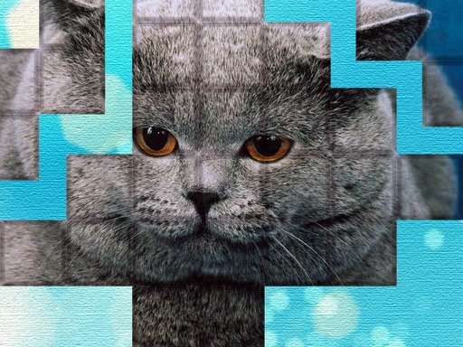 Cat Puzzle Block Game