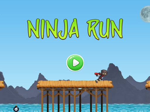 Shadow Runner Adventure Arcade