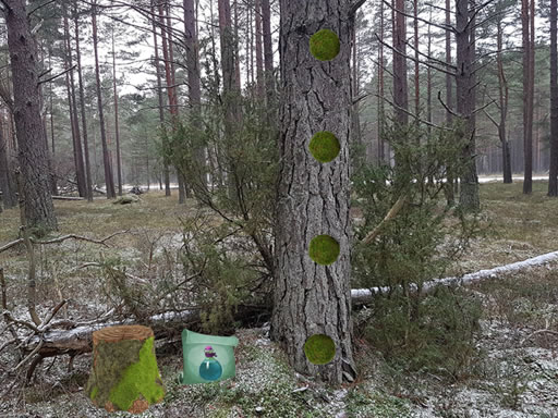 Frozen Forest Puzzle Adventure