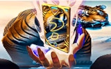 Animal Tiger Memory Match Puzzle Game