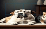 Cats and Dogs Slide Puzzle Game