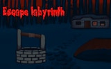 Maze Puzzle Adventure: Labyrinth Explorer