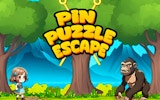 Pin Puzzle Escape: Brain Teaser Game