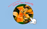 Round Jigsaw Puzzle: Collect the Butterfly - Free Online Puzzle Game
