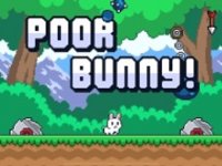 Bunny Carrot Quest Arcade