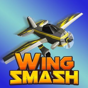 Wing Smash Flight Runner