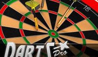 Darts Pro Multiplayer Online Game
