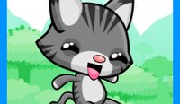 Cat Drop Online Game