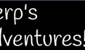 Derp's Adventures Platformer Game