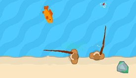 Coastal Catch Multiplayer Fishing